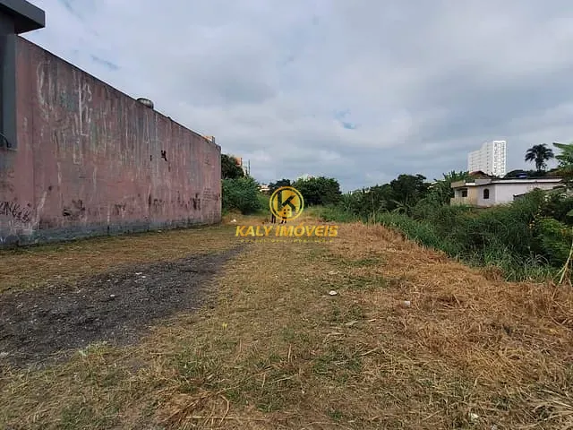 Terreno com 6500m², à venda, no bairro Vila Bocaina em Mauá