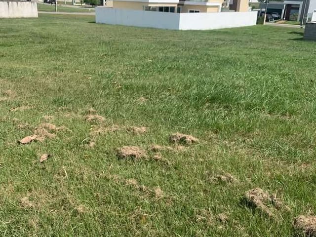 Terreno com 441m², à venda, no bairro Viverde I em Rio das Ostras