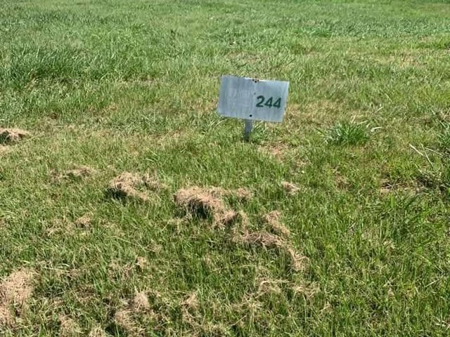 Terreno com 441m², à venda, no bairro Viverde I em Rio das Ostras