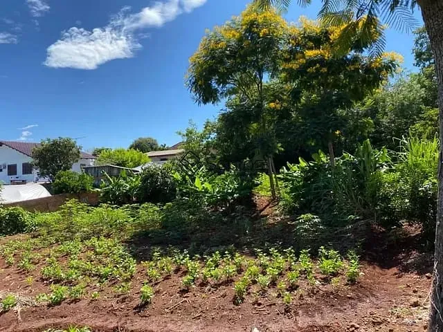 Terreno com 780m², à venda, no bairro Penha em Ijuí