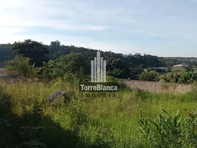 Terreno com 364m², à venda, no bairro Uvaranas em Ponta Grossa
