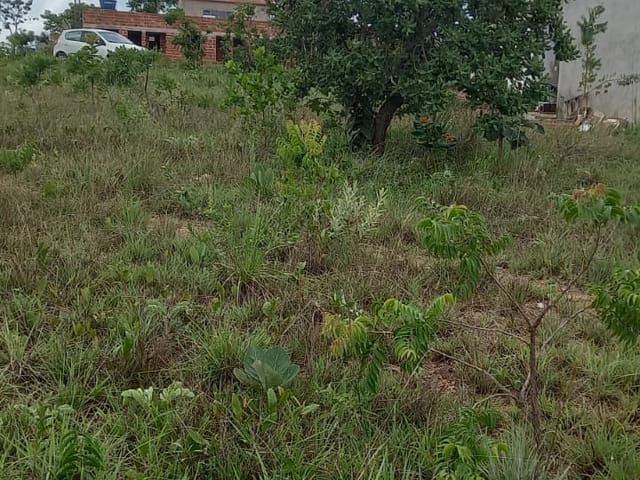 Terreno com 630m², à venda, no bairro Zona Rural em Abadiânia
