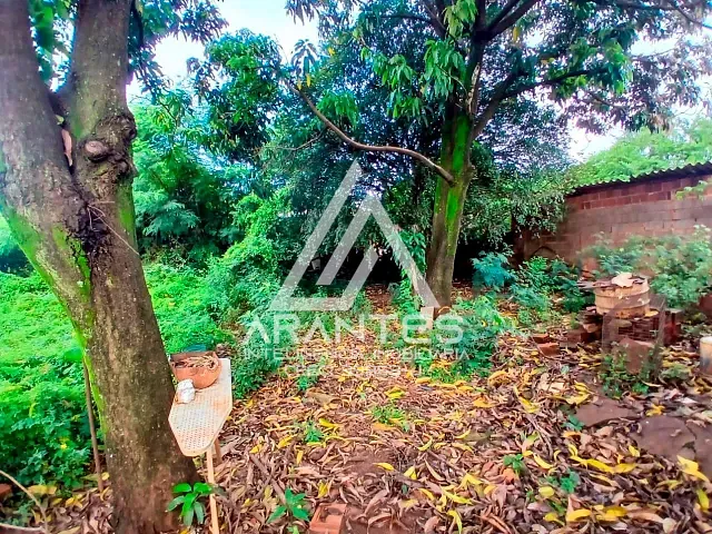Terreno com 450m², à venda, no bairro Pereira em Barretos