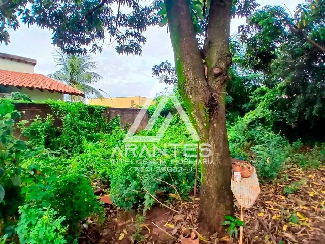 Terreno com 450m², à venda, no bairro Pereira em Barretos