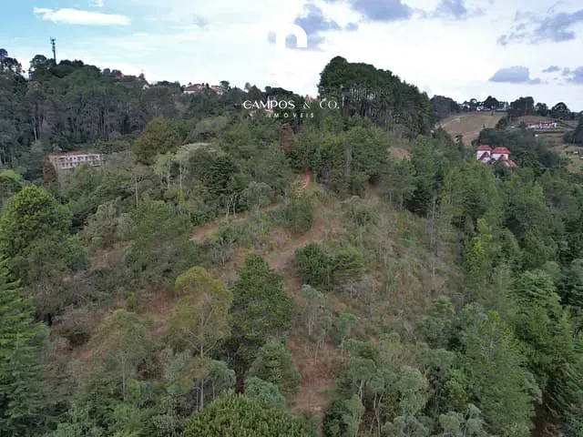 Terreno com 16805m², à venda, no bairro Vila Backer em Campos Do Jordão