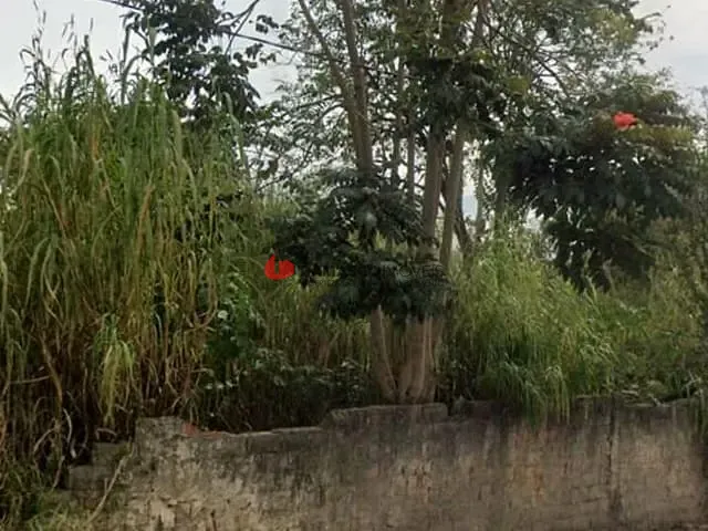 Terreno com 360m², à venda, no bairro Jardim São Caetano em São Caetano do Sul