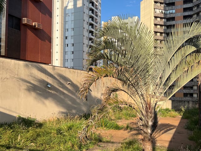 Terreno com 666m², à venda, no bairro Centro em Londrina