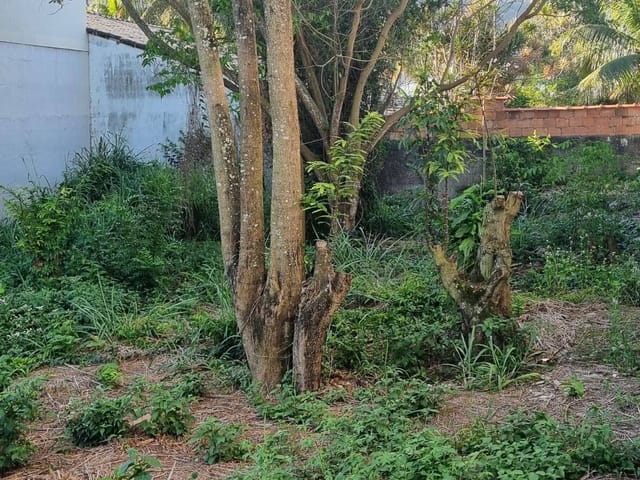 Terreno com 480m², à venda, no bairro Praia de Itaipuaçu (Itaipuaçu) em Maricá