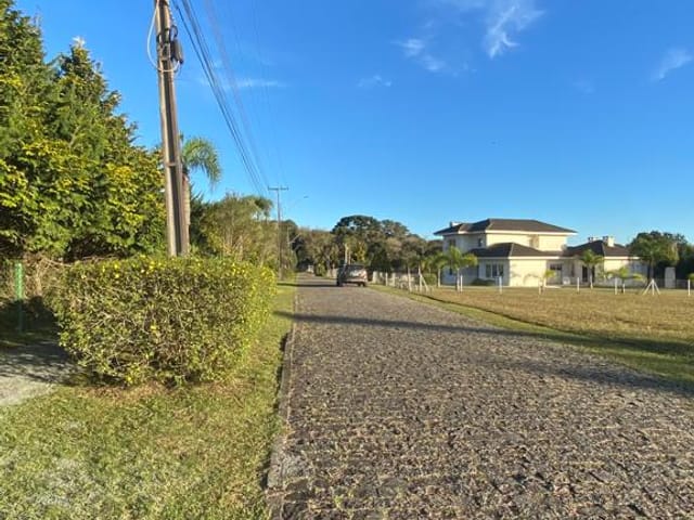 Terreno com 3179m², à venda, no bairro Centro em São José dos Pinhais