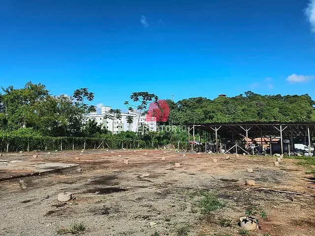Terreno com 2300m², para alugar, no bairro Fortaleza Alta em Blumenau
