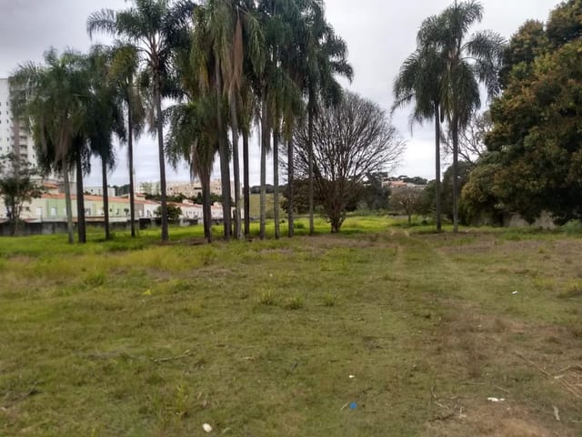 Foto do Terreno - Área à venda, 13710 m² por R$ 12.500.000,00 - Jardim Califórnia - Jacareí/SP | INDEPENDENCE NEGOCIOS IMOBILIARIOS LTDA