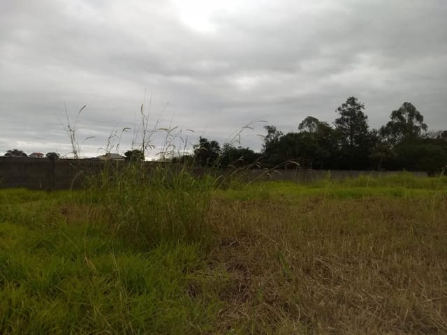 Foto do Terreno - Área à venda, 13710 m² por R$ 12.500.000,00 - Jardim Califórnia - Jacareí/SP | INDEPENDENCE NEGOCIOS IMOBILIARIOS LTDA