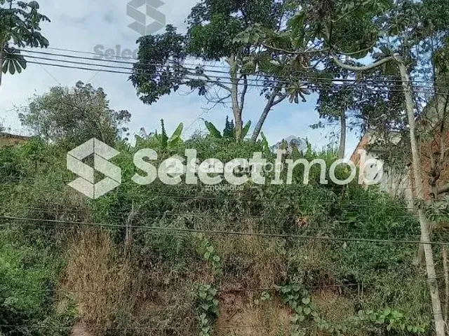 Terreno com 250m², à venda, no bairro Tanque Caio em Ribeirão Pires