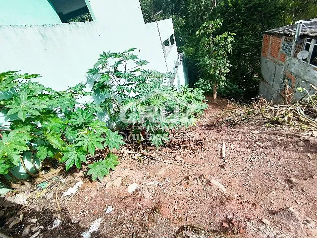 Terreno com 336m², à venda, no bairro Vila Rosina em Caieiras