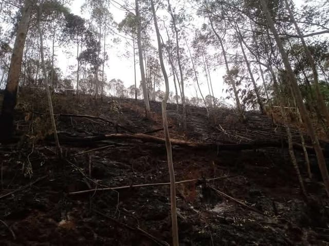 Terreno com 1467m², à venda, no bairro Parque Maria Teresa em Nova Friburgo