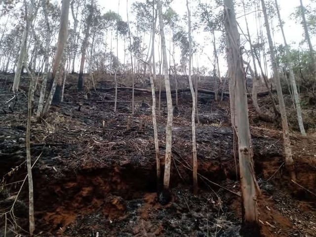 Terreno com 1467m², à venda, no bairro Parque Maria Teresa em Nova Friburgo