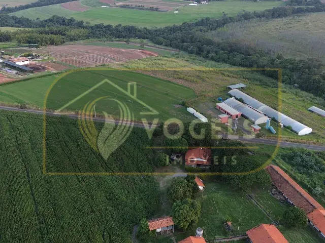 Terreno com 20000m², à venda, no bairro Fundão em Holambra