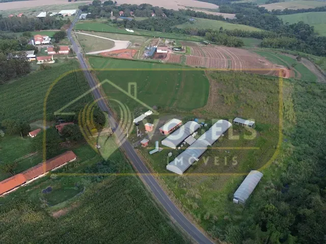 Terreno com 20000m², à venda, no bairro Fundão em Holambra
