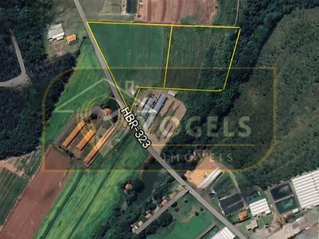 Terreno com 20000m², à venda, no bairro Fundão em Holambra