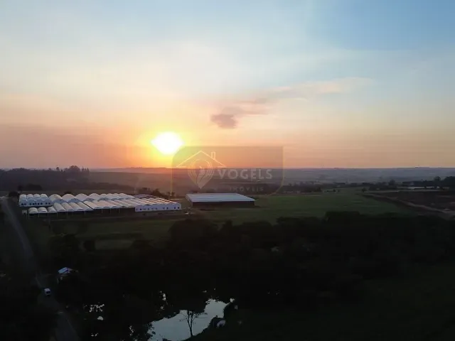 Terreno com 20000m², à venda, no bairro Fundão em Holambra