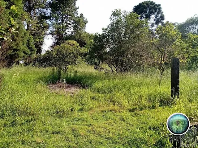 Terreno com 1500m², à venda, no bairro Carafa em Votorantim