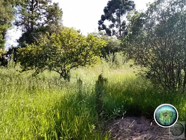 Terreno com 1500m², à venda, no bairro Carafa em Votorantim