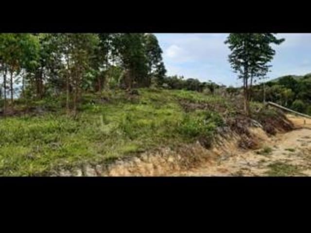 Foto do Terreno - Terreno à venda 2500M², Oliveira, Tijucas - SC | ATO CONSULTORIA IMOBILIARIA