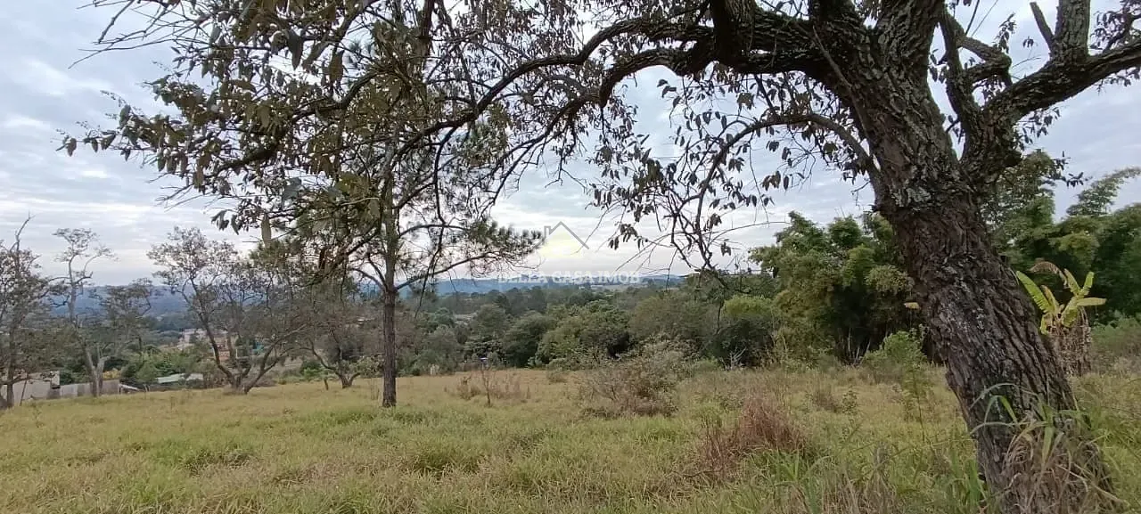 Terreno, 1 hectares - Foto 6