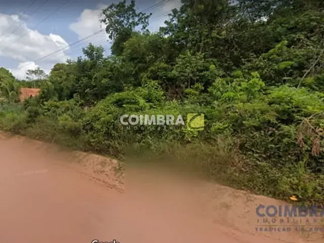 Terreno com 7000m², à venda, no bairro PINDOBAL em Belterra