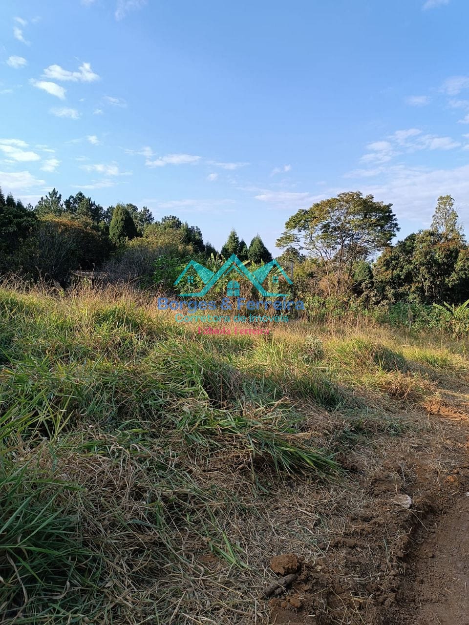 Terreno, 1500 m² - Foto 3