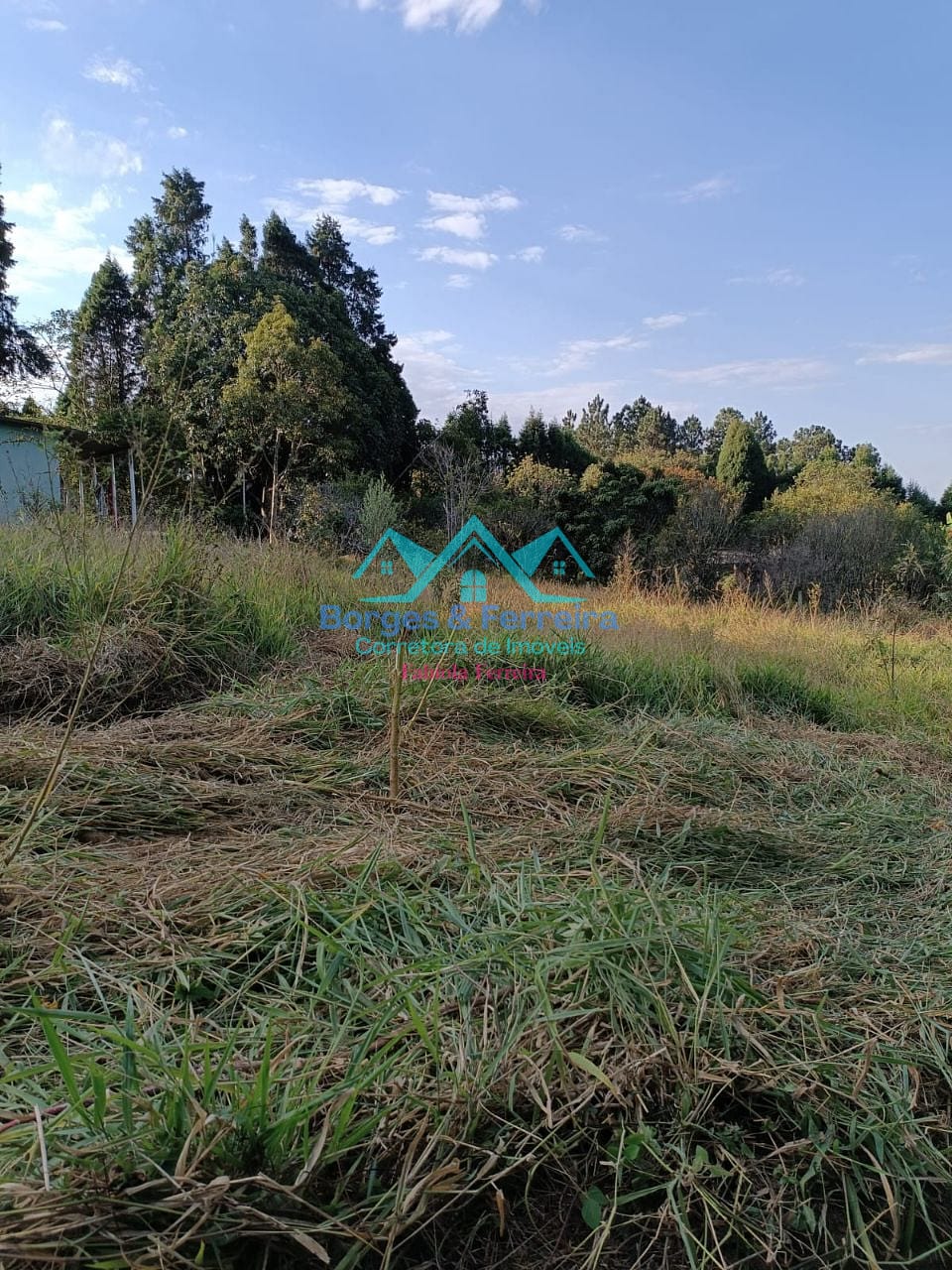 Terreno, 1500 m² - Foto 4