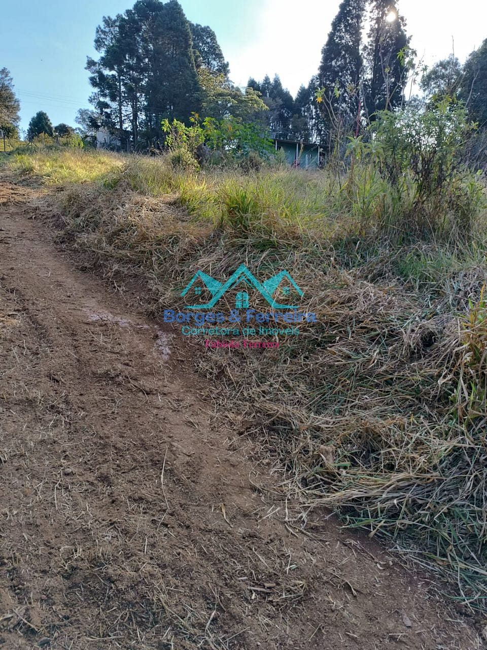 Terreno, 1500 m² - Foto 8