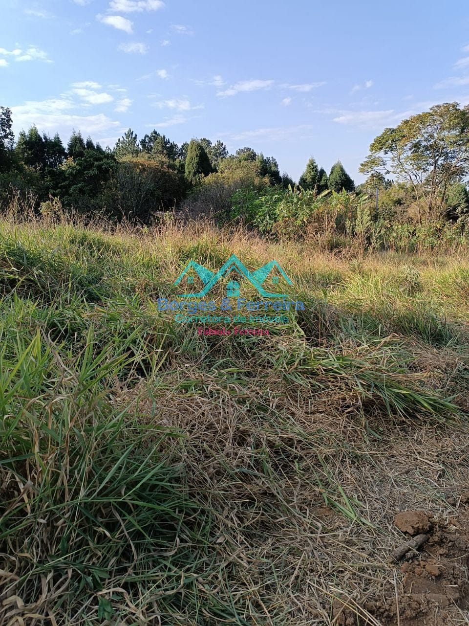 Terreno, 1500 m² - Foto 1