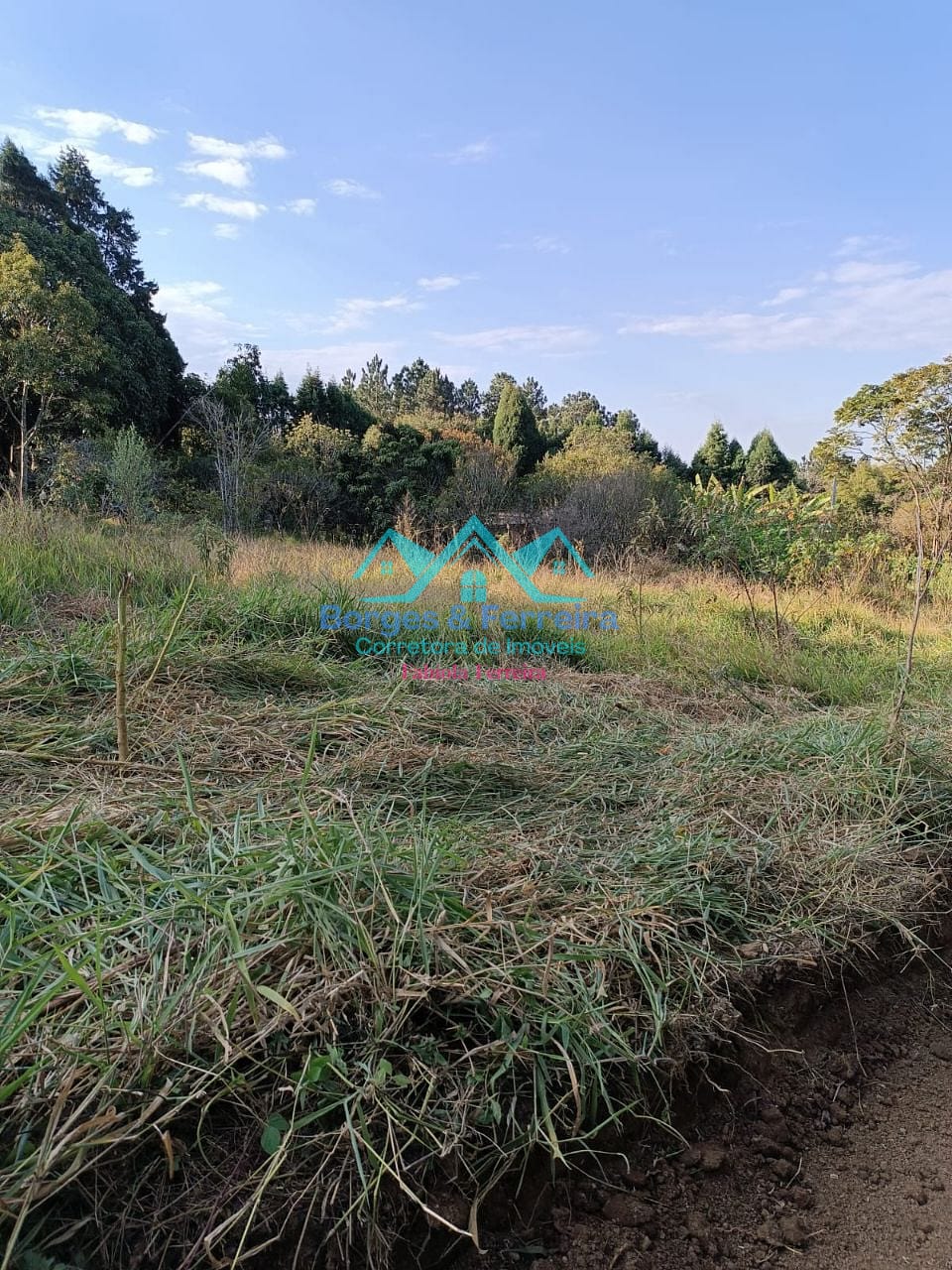 Terreno, 1500 m² - Foto 2