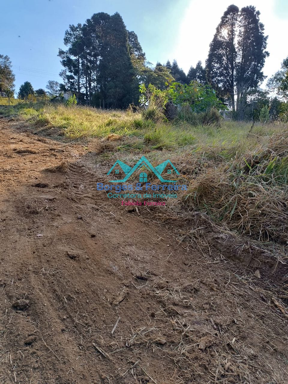 Terreno, 1500 m² - Foto 9