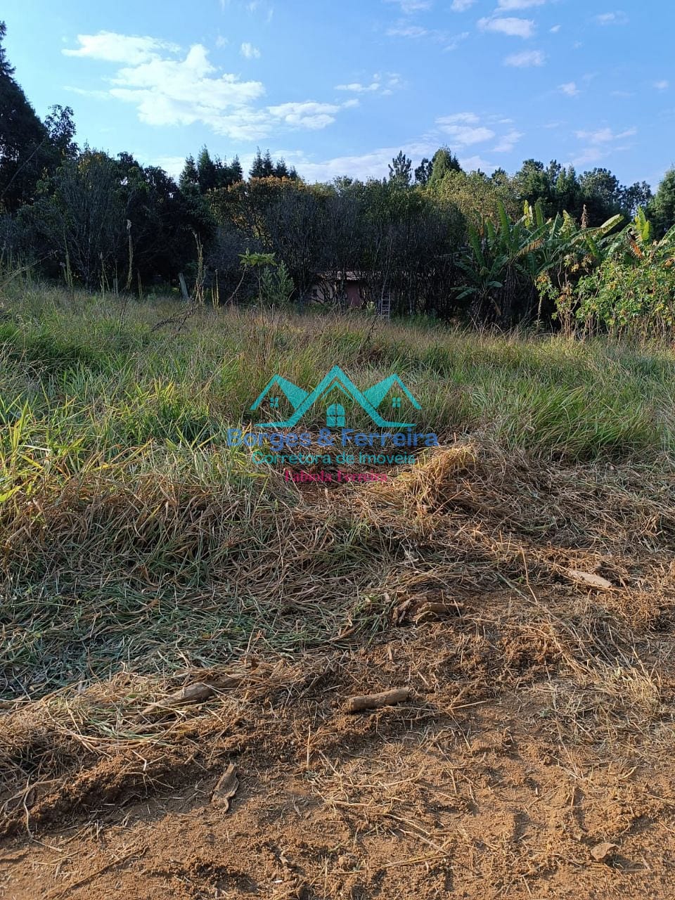 Terreno, 1500 m² - Foto 6