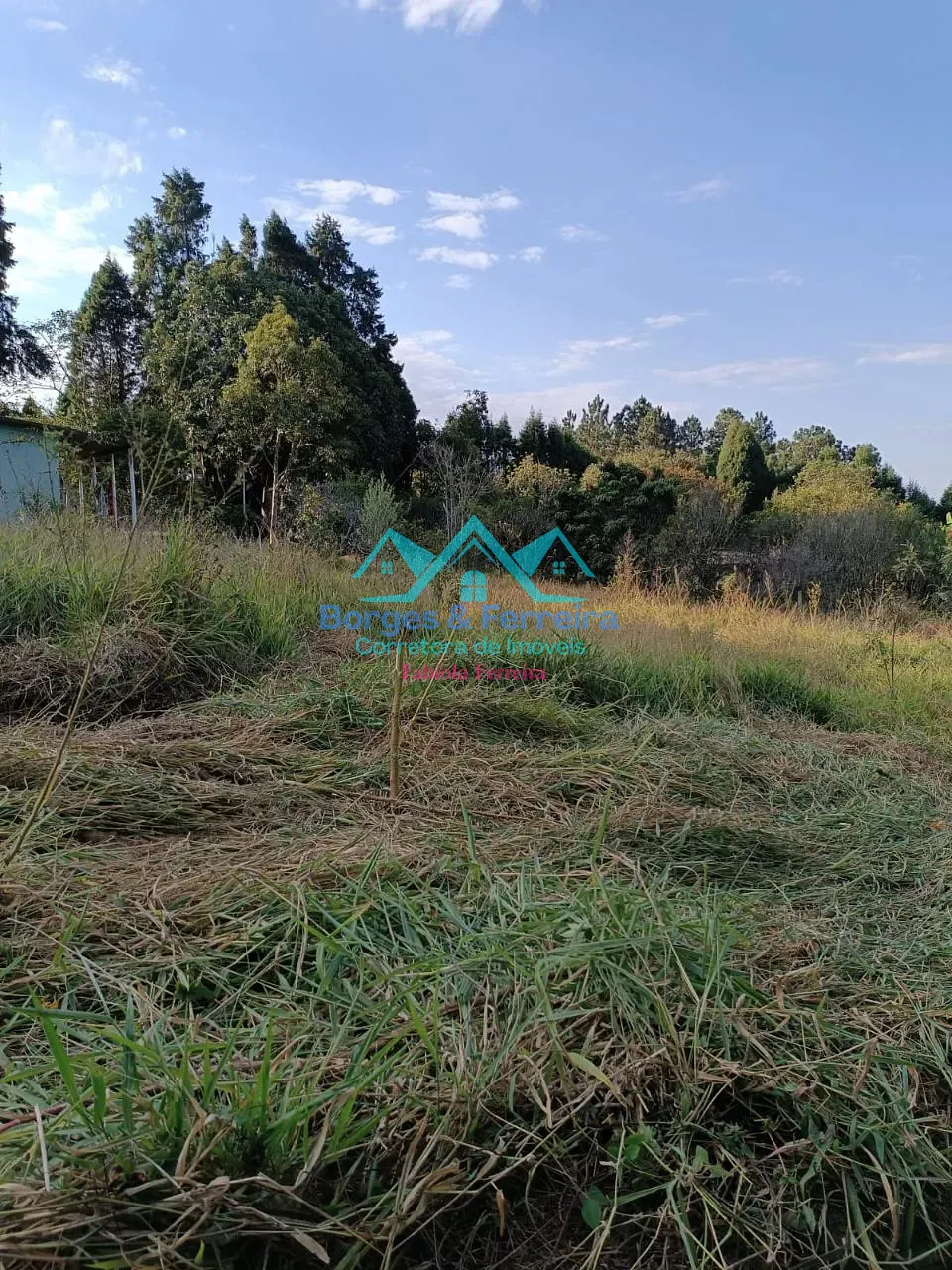 Terreno, 1500 m² - Foto 4