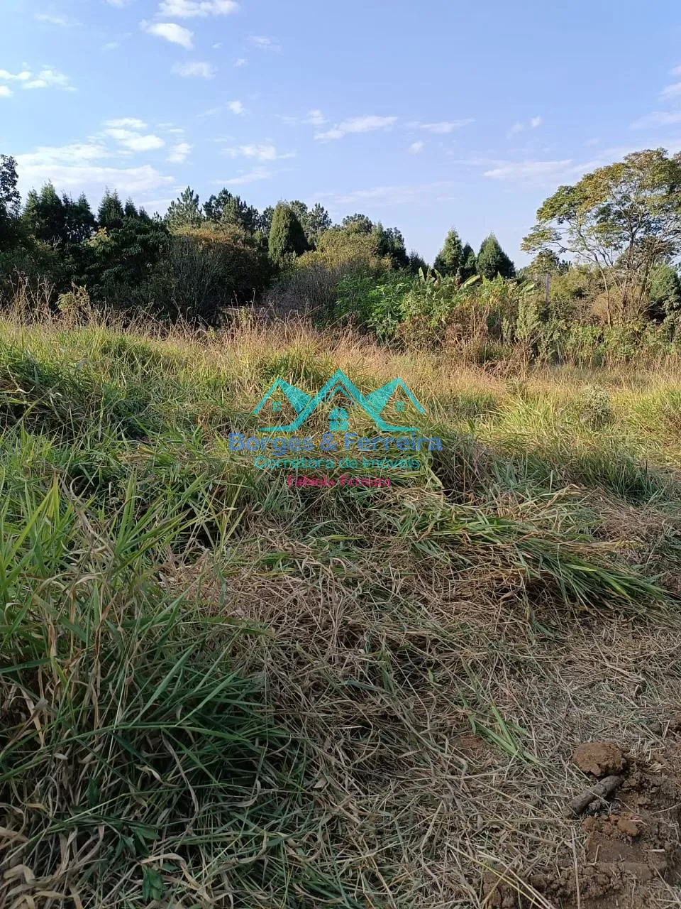 Terreno, 1500 m² - Foto 1