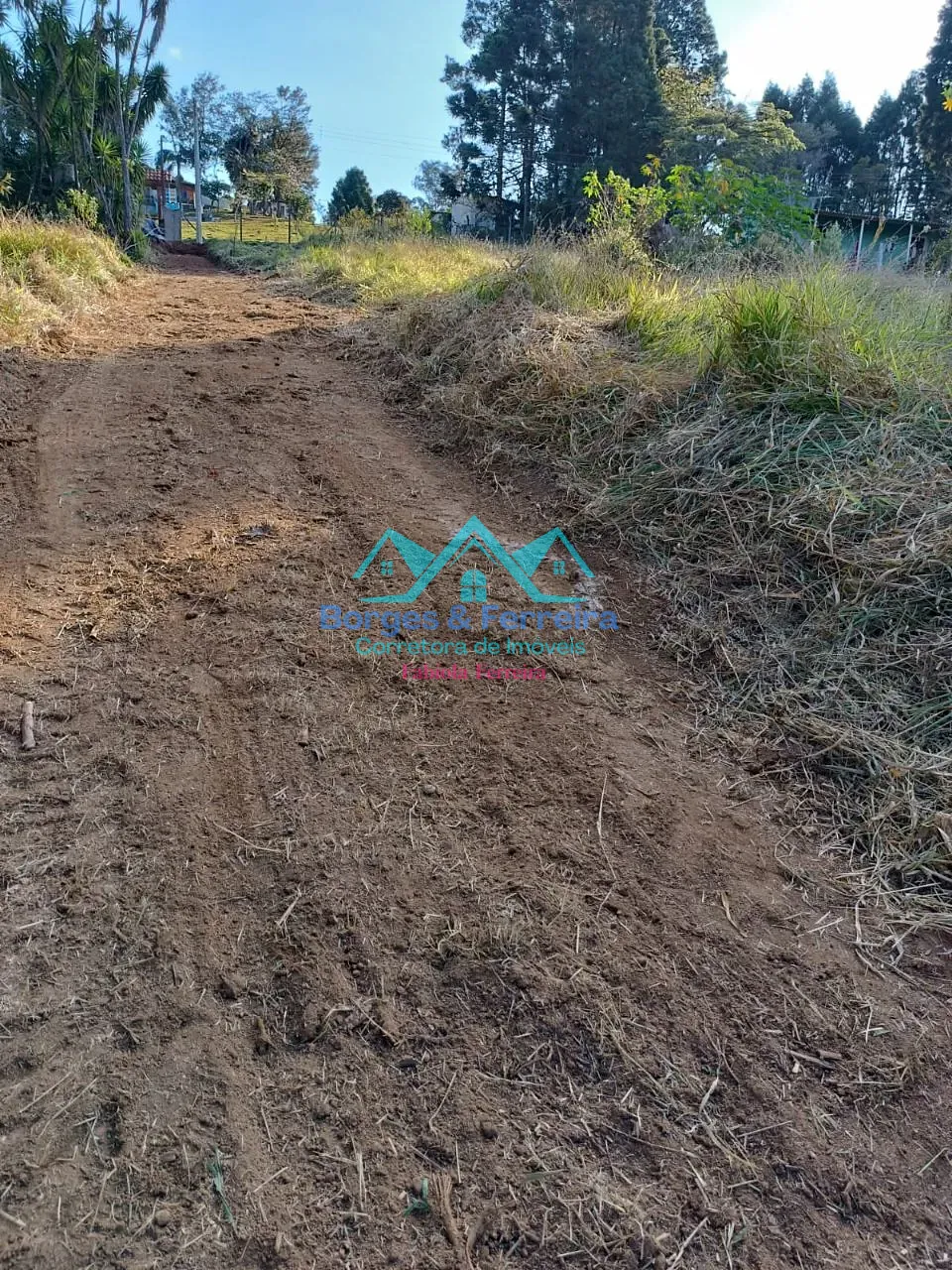 Terreno, 1500 m² - Foto 5