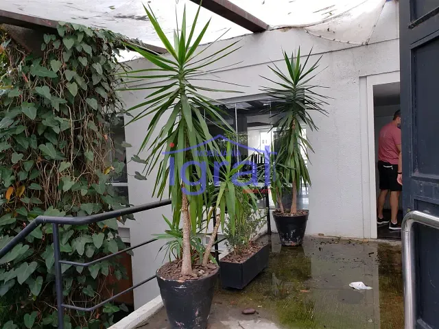 Terreno com 891m², à venda, no bairro Vila Guarani (Z Sul) em São Paulo
