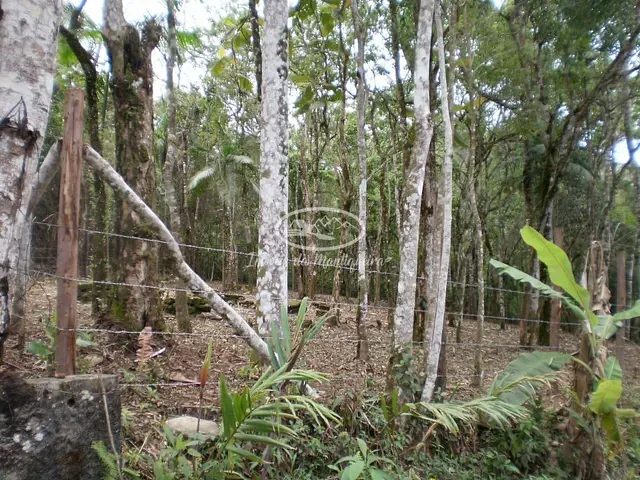 Terreno com 965m², à venda, no bairro Fazendinha (Penedo) em Itatiaia