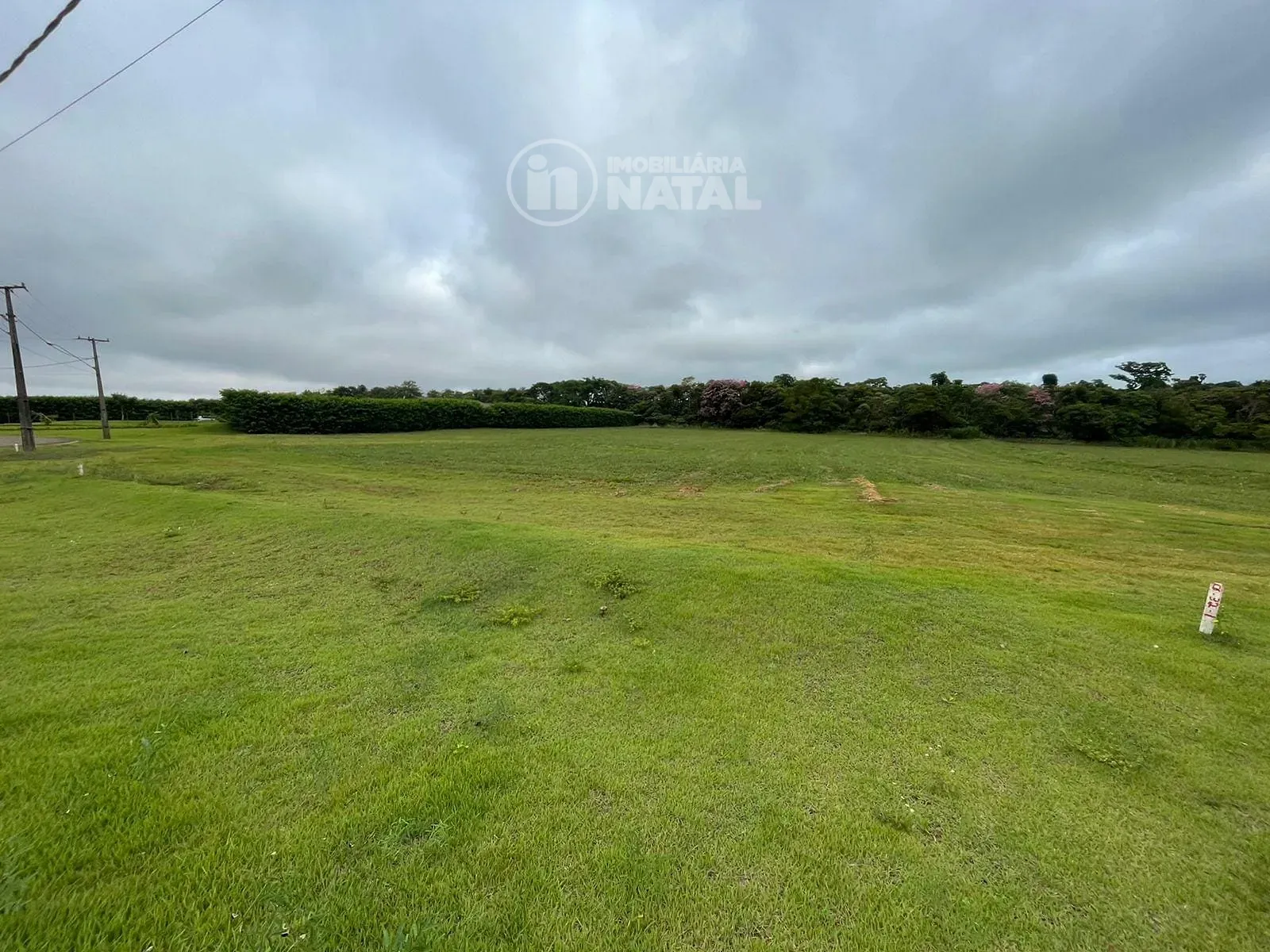 Terreno, 2505 m² - Foto 6