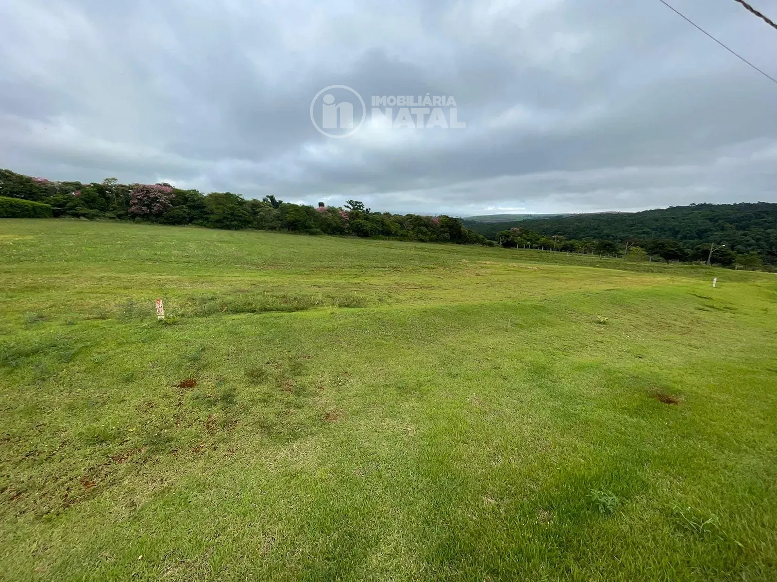Terreno, 2505 m² - Foto 7