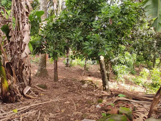 Terreno com 3160m², à venda, no bairro Vila Jayara em Anápolis