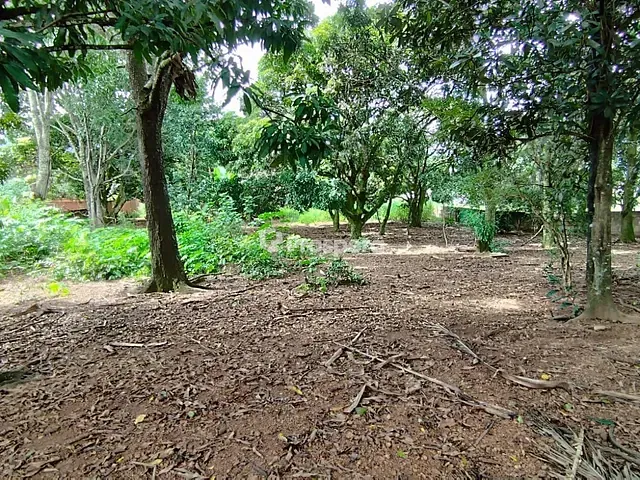 Terreno com 3160m², à venda, no bairro Vila Jayara em Anápolis