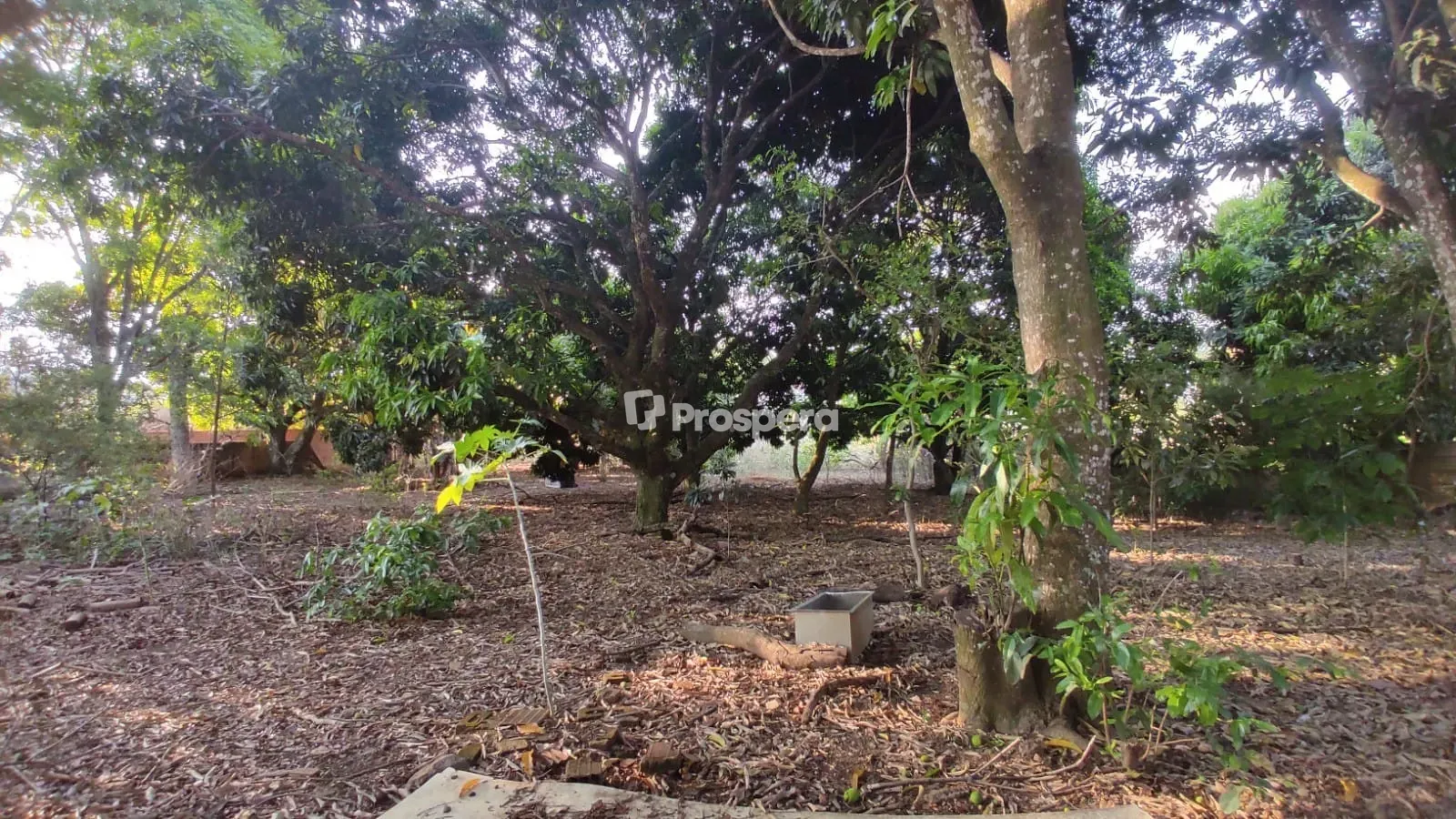 Terreno, 3160 m² - Foto 6
