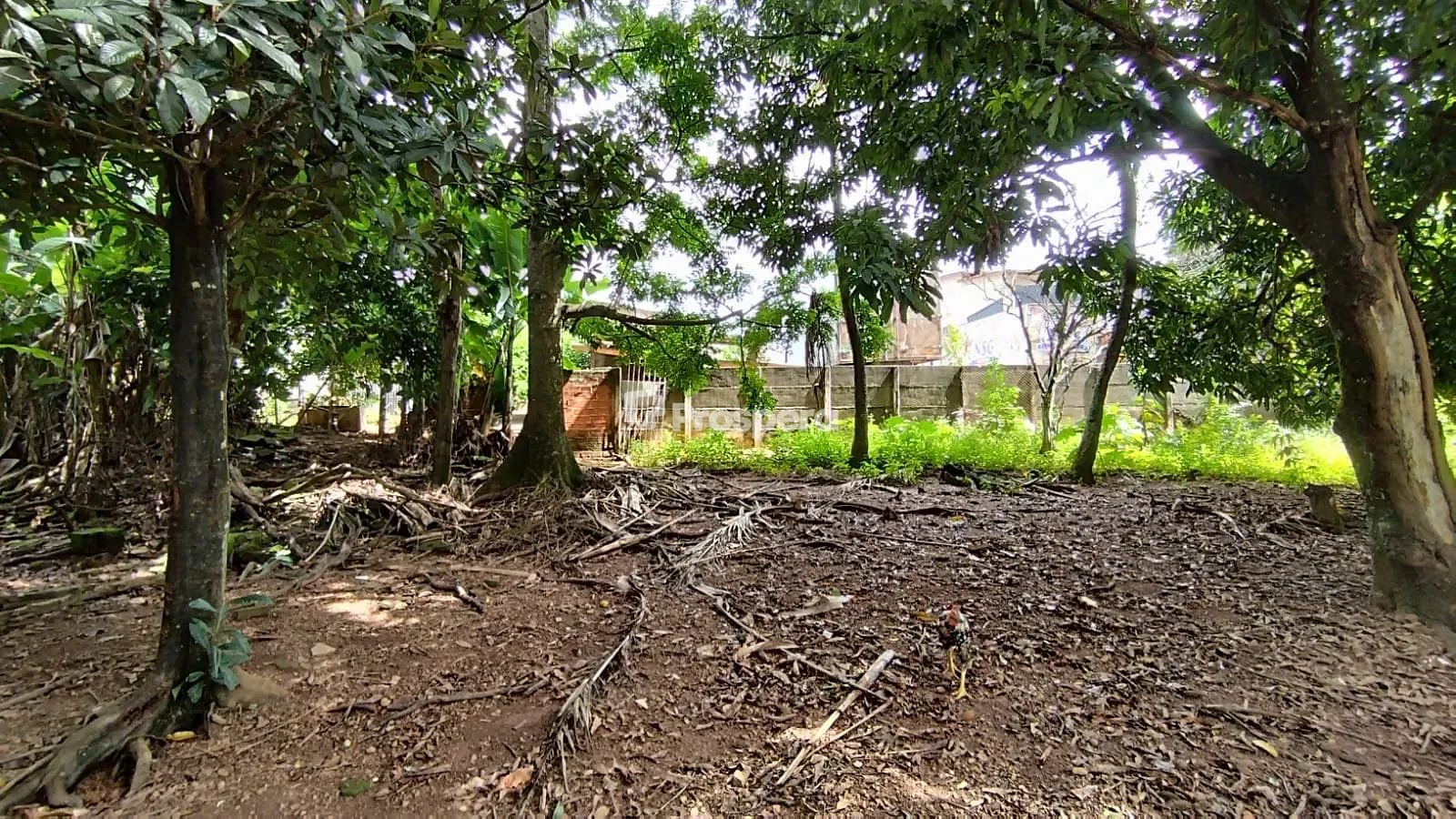 Terreno, 3160 m² - Foto 7