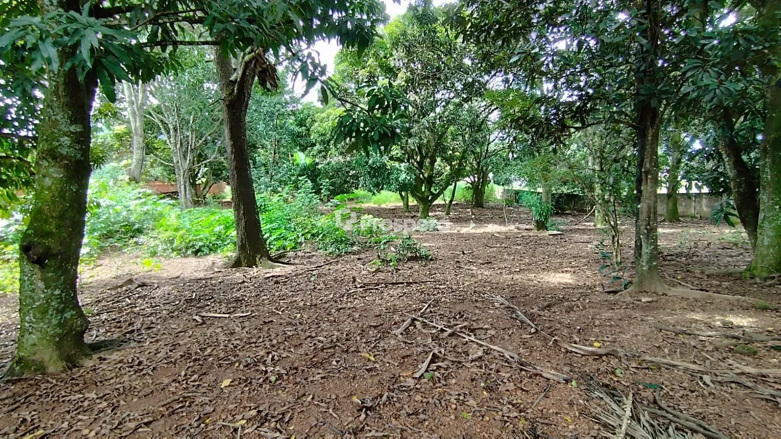 Terreno, 3160 m² - Foto 2