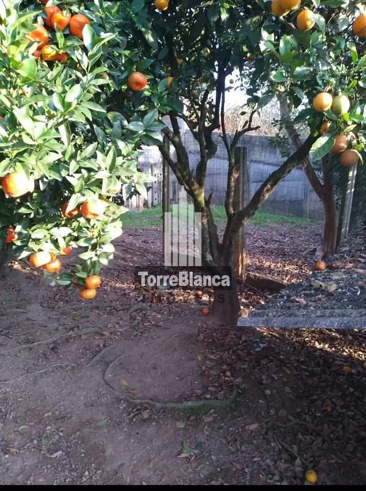 Terreno, 490 m² - Foto 6
