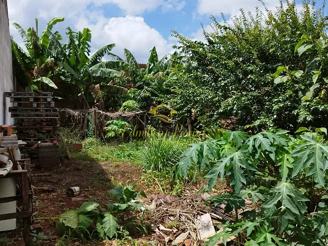 Terreno com 200m², à venda, no bairro Jardim Alto do Cafezal em Londrina